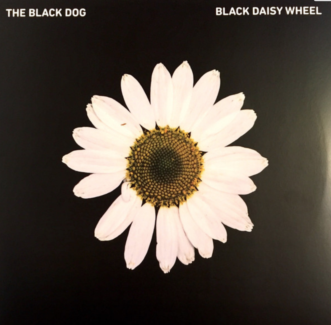 BLACK DAISY WHEEL