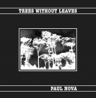 TREES WITHOUT LEAVES