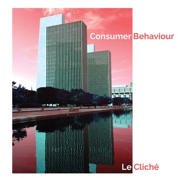 CONSUMER BEHAVIOUR