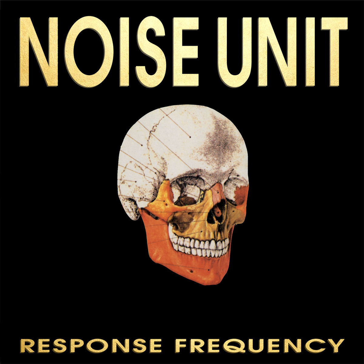 RESPONSE FREQUENCY