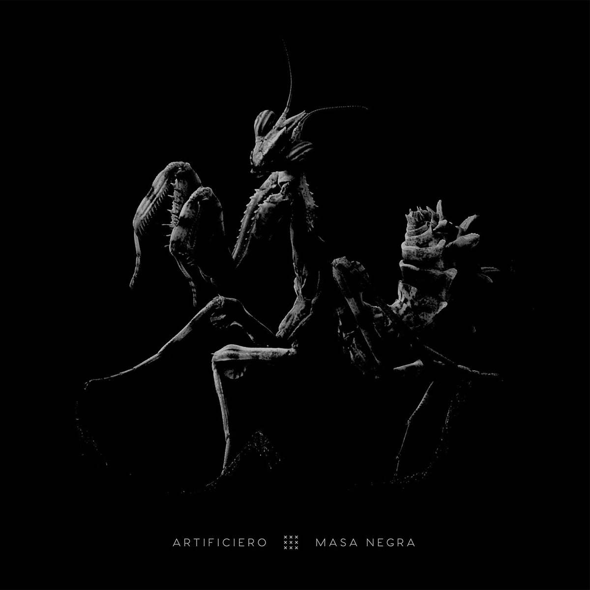 MASA NEGRA