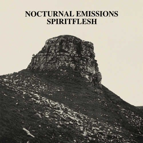 SPIRITFLESH