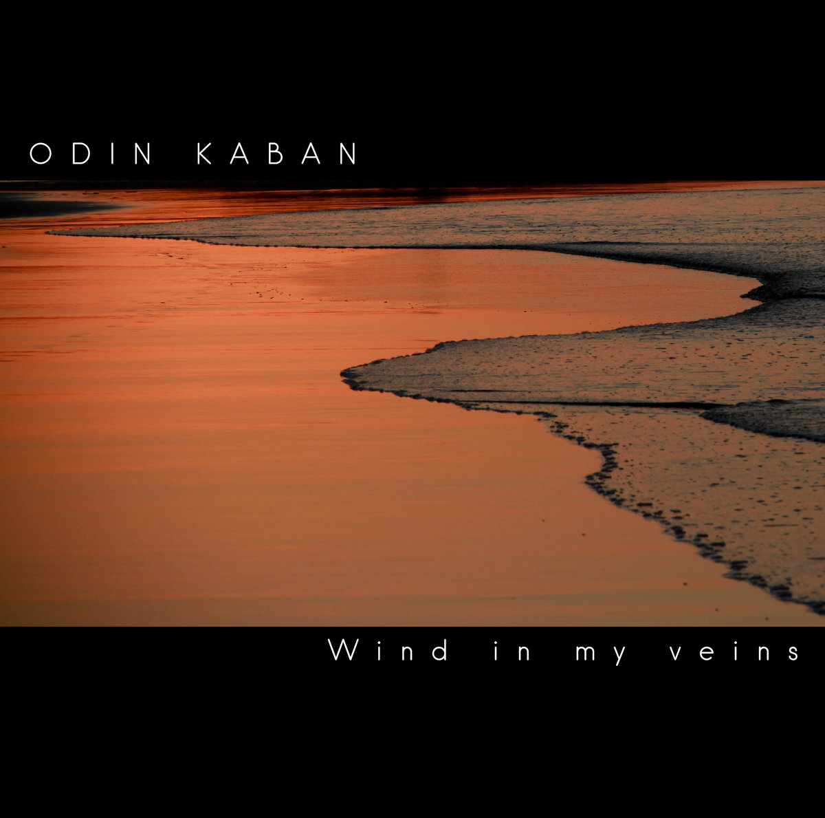 WIND IN MY VEINS