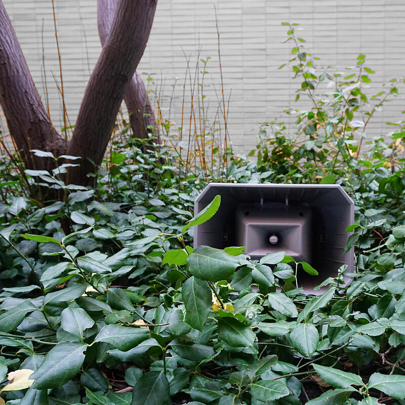 Muzak for the Encouragement of Unproductivity 