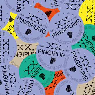 PINGIPUNG XX - A RECORD LABEL TURNS 20